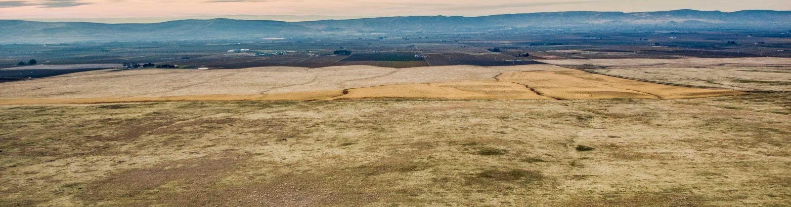 Crosby Rd, Prosser, Washington 99350, ,Agricultural,For Sale,Crosby Rd,282542