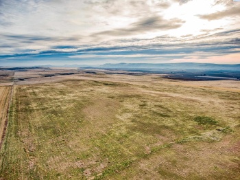Crosby Rd, Prosser, Washington 99350, ,Agricultural,For Sale,Crosby Rd,282542