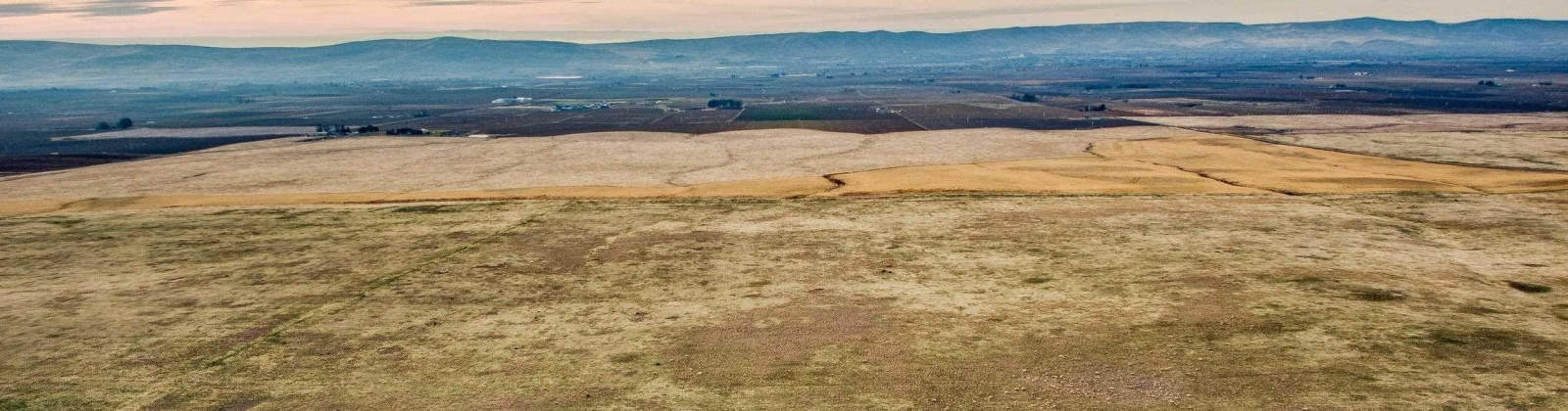 Crosby Rd, Prosser, Washington 99350, ,Agricultural,For Sale,Crosby Rd,282542