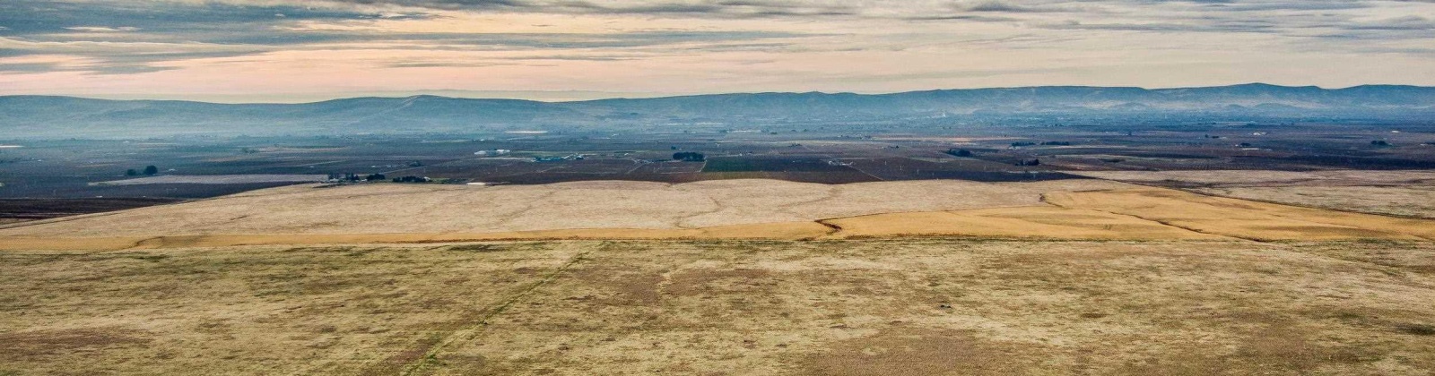 Crosby Rd, Prosser, Washington 99350, ,Agricultural,For Sale,Crosby Rd,282542