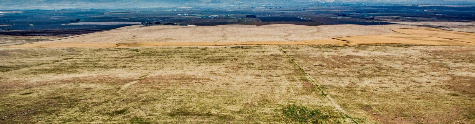 Crosby Rd, Prosser, Washington 99350, ,Agricultural,For Sale,Crosby Rd,282542
