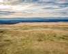 Crosby Rd, Prosser, Washington 99350, ,Agricultural,For Sale,Crosby Rd,282542