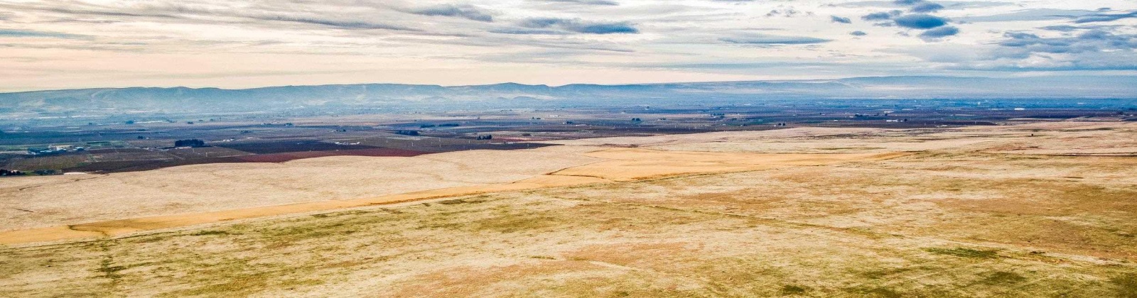 Crosby Rd, Prosser, Washington 99350, ,Agricultural,For Sale,Crosby Rd,282542