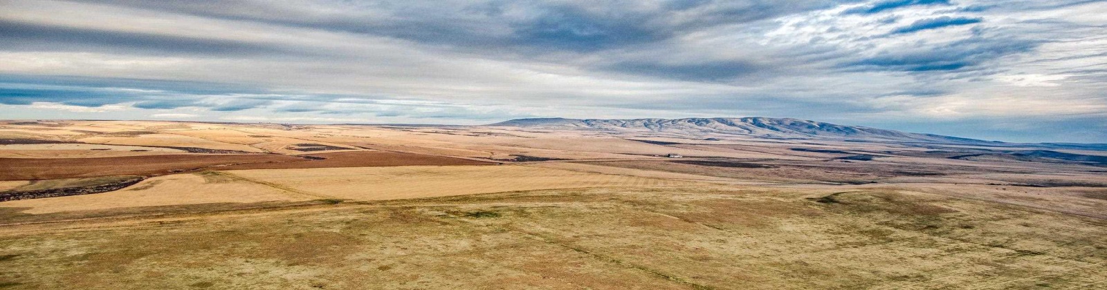 Crosby Rd, Prosser, Washington 99350, ,Agricultural,For Sale,Crosby Rd,282542