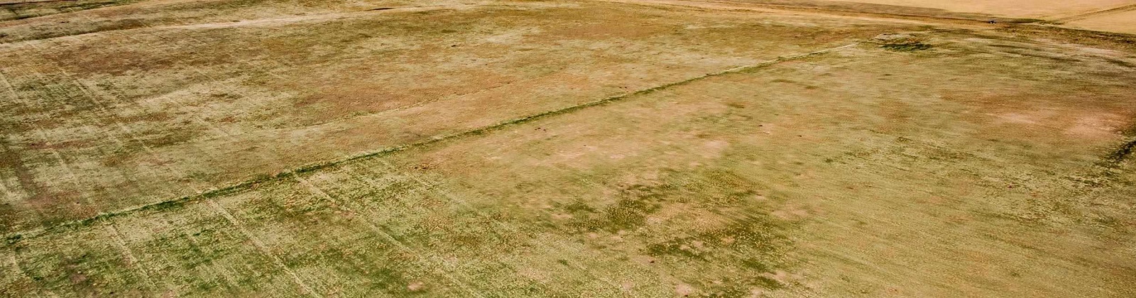 Crosby Rd, Prosser, Washington 99350, ,Agricultural,For Sale,Crosby Rd,282542