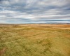 Crosby Rd, Prosser, Washington 99350, ,Agricultural,For Sale,Crosby Rd,282542