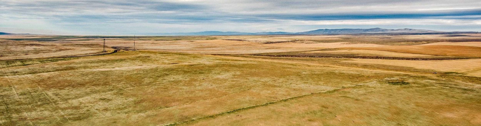 Crosby Rd, Prosser, Washington 99350, ,Agricultural,For Sale,Crosby Rd,282542