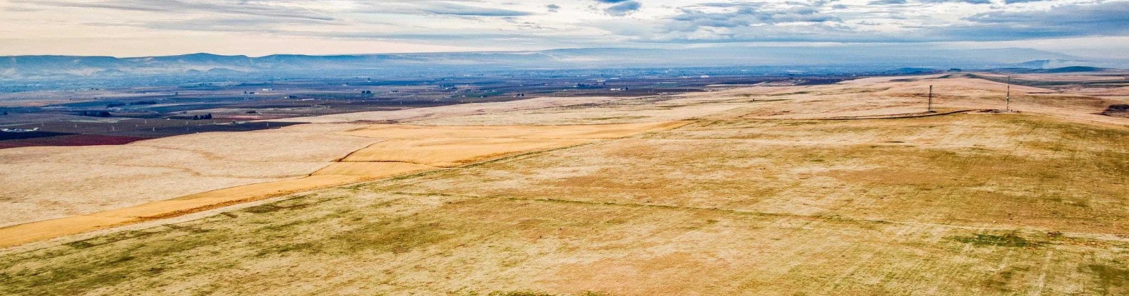 Crosby Rd, Prosser, Washington 99350, ,Agricultural,For Sale,Crosby Rd,282542