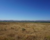 Crosby Rd, Prosser, Washington 99350, ,Agricultural,For Sale,Crosby Rd,282542