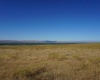 Crosby Rd, Prosser, Washington 99350, ,Agricultural,For Sale,Crosby Rd,282542