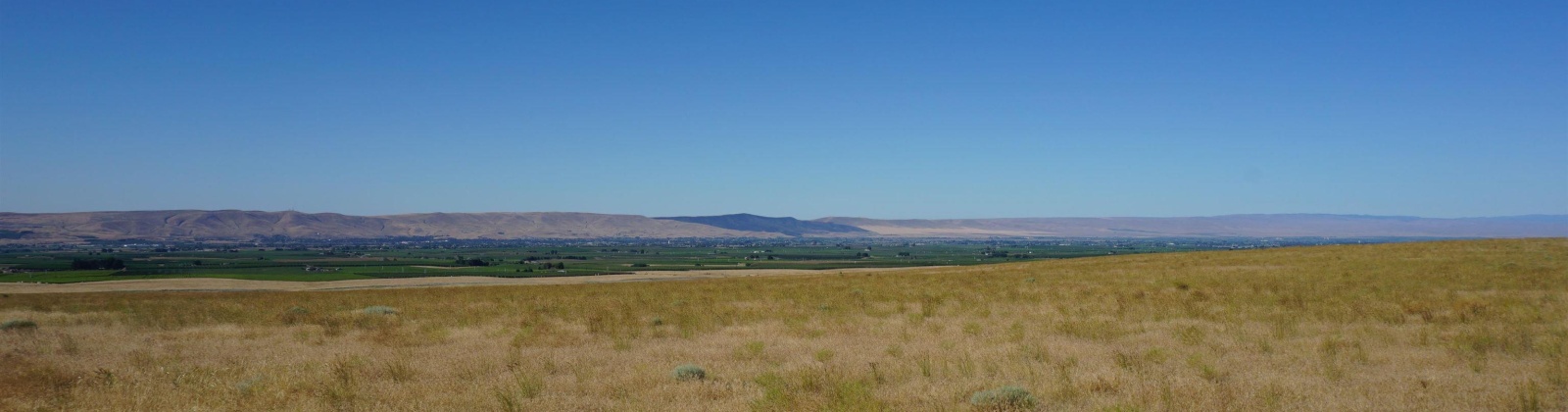 Crosby Rd, Prosser, Washington 99350, ,Agricultural,For Sale,Crosby Rd,282542