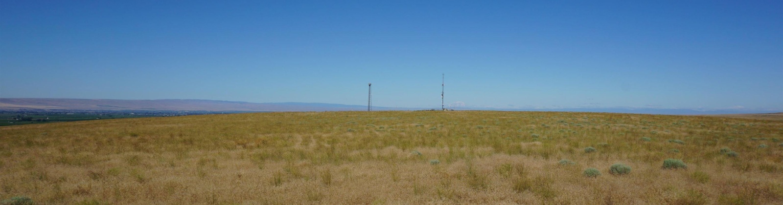 Crosby Rd, Prosser, Washington 99350, ,Agricultural,For Sale,Crosby Rd,282542