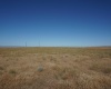 Crosby Rd, Prosser, Washington 99350, ,Agricultural,For Sale,Crosby Rd,282542