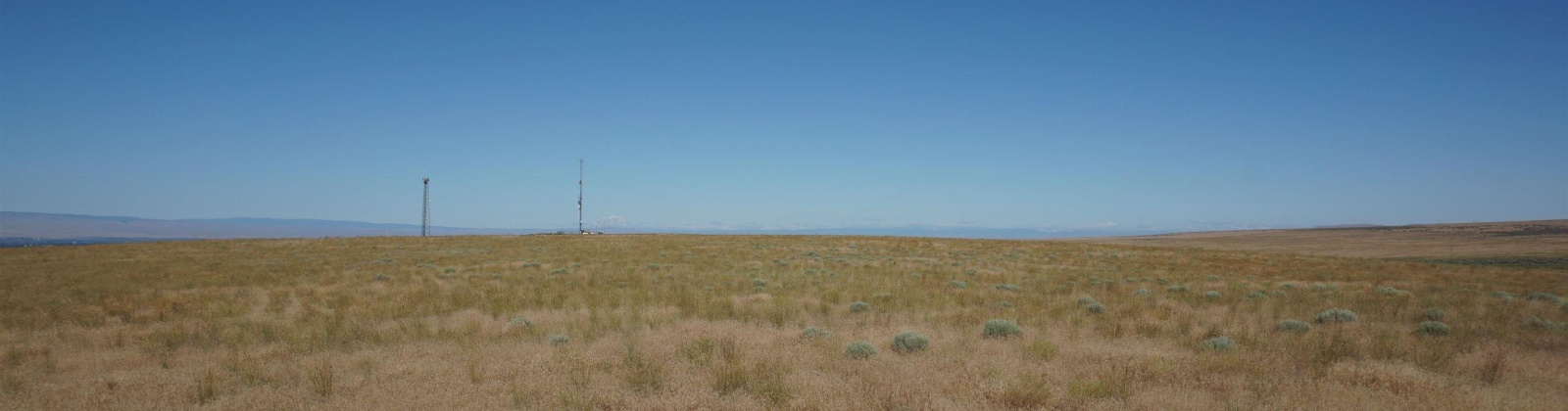 Crosby Rd, Prosser, Washington 99350, ,Agricultural,For Sale,Crosby Rd,282542
