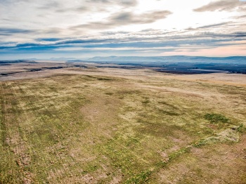 Crosby Rd, Prosser, Washington 99350, ,Agricultural,For Sale,Crosby Rd,282543