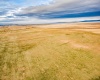 Crosby Rd, Prosser, Washington 99350, ,Agricultural,For Sale,Crosby Rd,282543