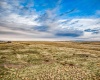 Crosby Rd, Prosser, Washington 99350, ,Agricultural,For Sale,Crosby Rd,282545