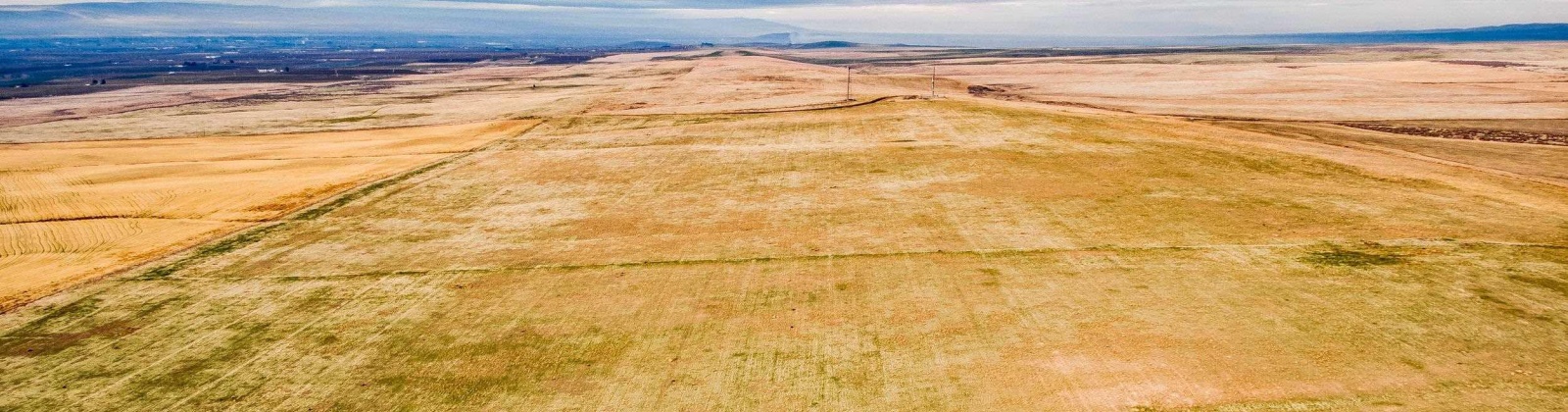Crosby Rd, Prosser, Washington 99350, ,Agricultural,For Sale,Crosby Rd,282545