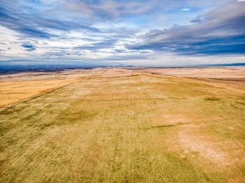 Crosby Rd, Prosser, Washington 99350, ,Agricultural,For Sale,Crosby Rd,282545
