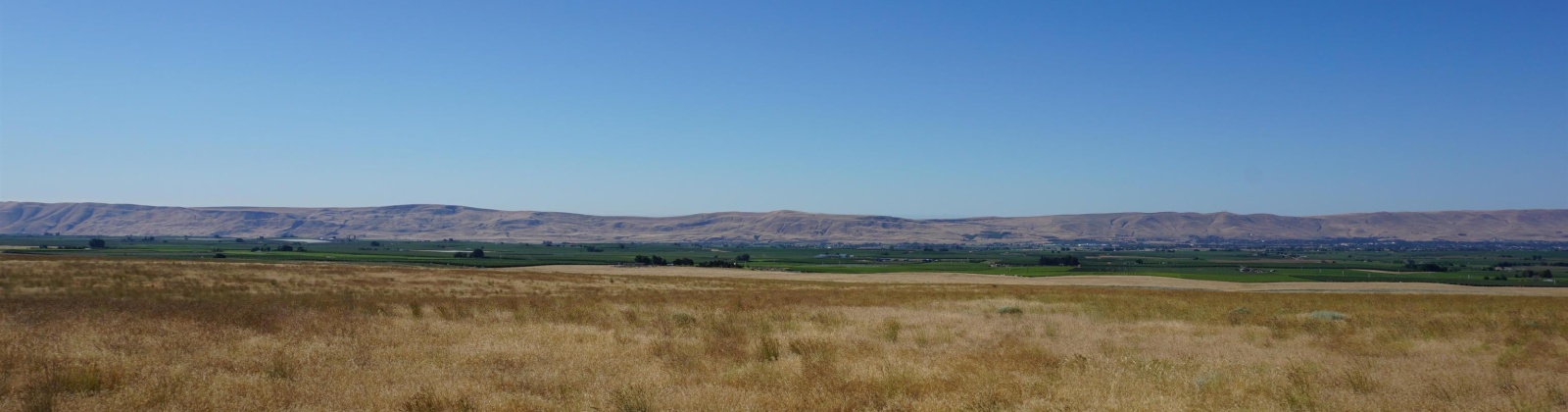 Crosby Rd, Prosser, Washington 99350, ,Agricultural,For Sale,Crosby Rd,282545