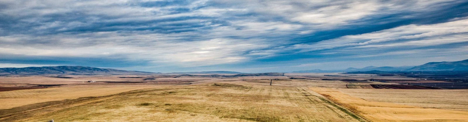 Crosby Rd, Prosser, Washington 99350, ,Agricultural,For Sale,Crosby Rd,282545