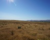 Crosby Rd, Prosser, Washington 99350, ,Agricultural,For Sale,Crosby Rd,282545