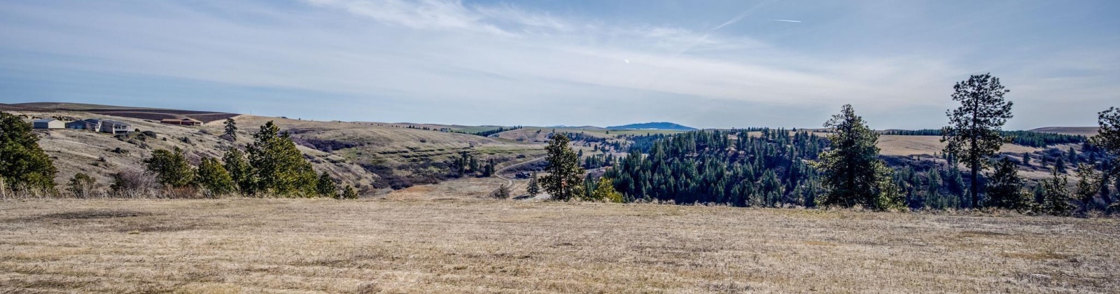 Red Tail Ridge, Colfax, Washington 99111, ,Residential,For Sale,Red Tail Ridge,282603