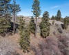Red Tail Ridge, Colfax, Washington 99111, ,Residential,For Sale,Red Tail Ridge,282603