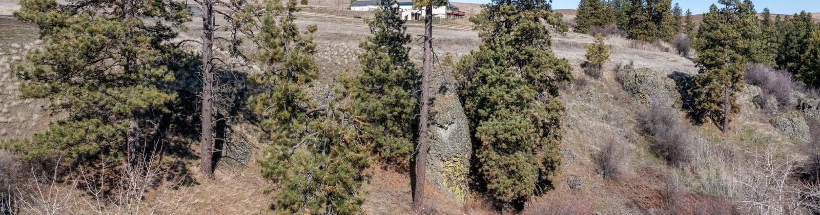 Red Tail Ridge, Colfax, Washington 99111, ,Residential,For Sale,Red Tail Ridge,282603