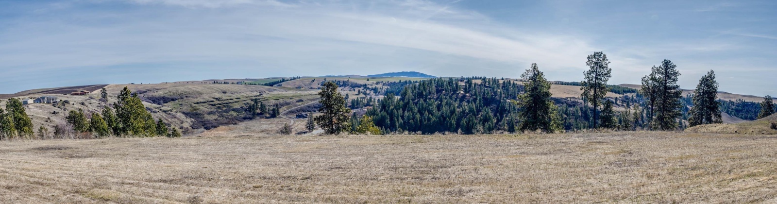 Red Tail Ridge, Colfax, Washington 99111, ,Residential,For Sale,Red Tail Ridge,282603