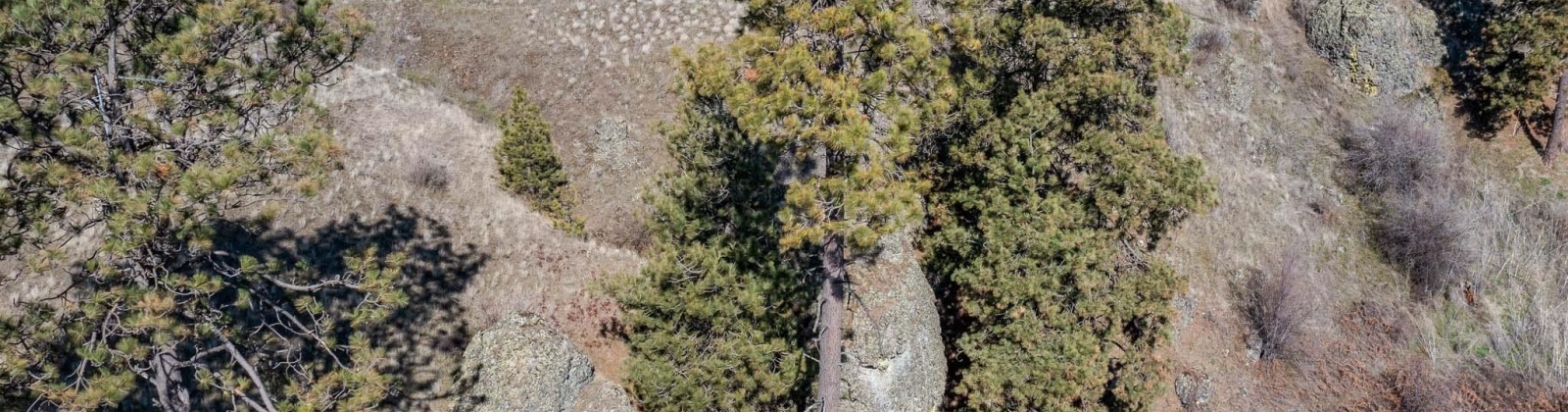 Red Tail Ridge, Colfax, Washington 99111, ,Residential,For Sale,Red Tail Ridge,282603