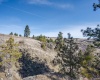 Red Tail Ridge, Colfax, Washington 99111, ,Residential,For Sale,Red Tail Ridge,282603
