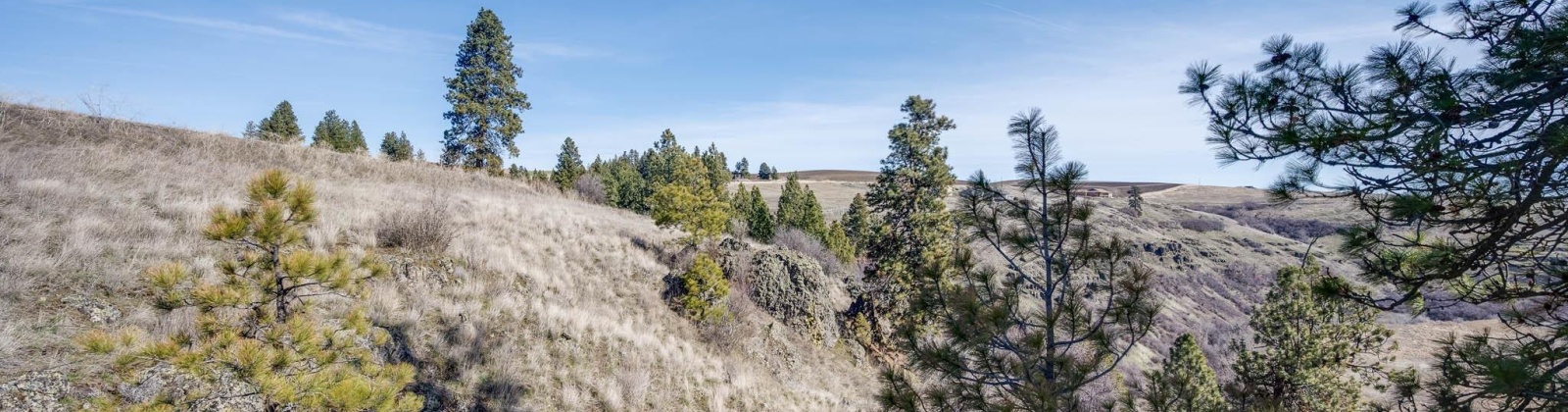 Red Tail Ridge, Colfax, Washington 99111, ,Residential,For Sale,Red Tail Ridge,282603