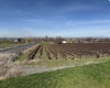 RICHARDS RD, Prosser, Washington 99350, ,Residential,For Sale,RICHARDS RD,282700