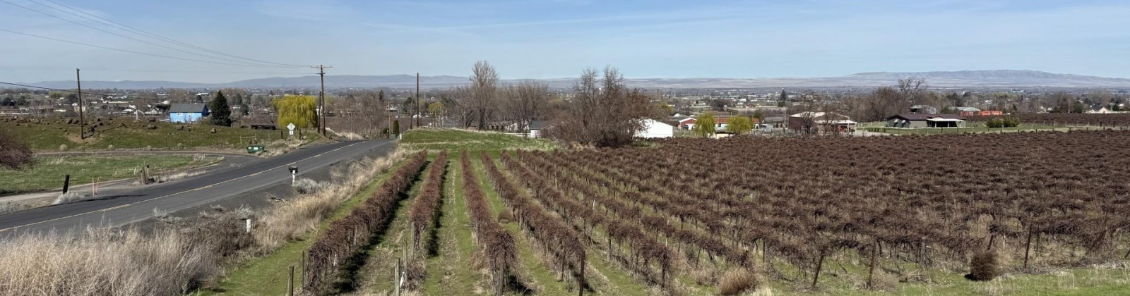 RICHARDS RD, Prosser, Washington 99350, ,Residential,For Sale,RICHARDS RD,282700
