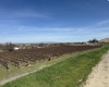 RICHARDS RD, Prosser, Washington 99350, ,Residential,For Sale,RICHARDS RD,282700