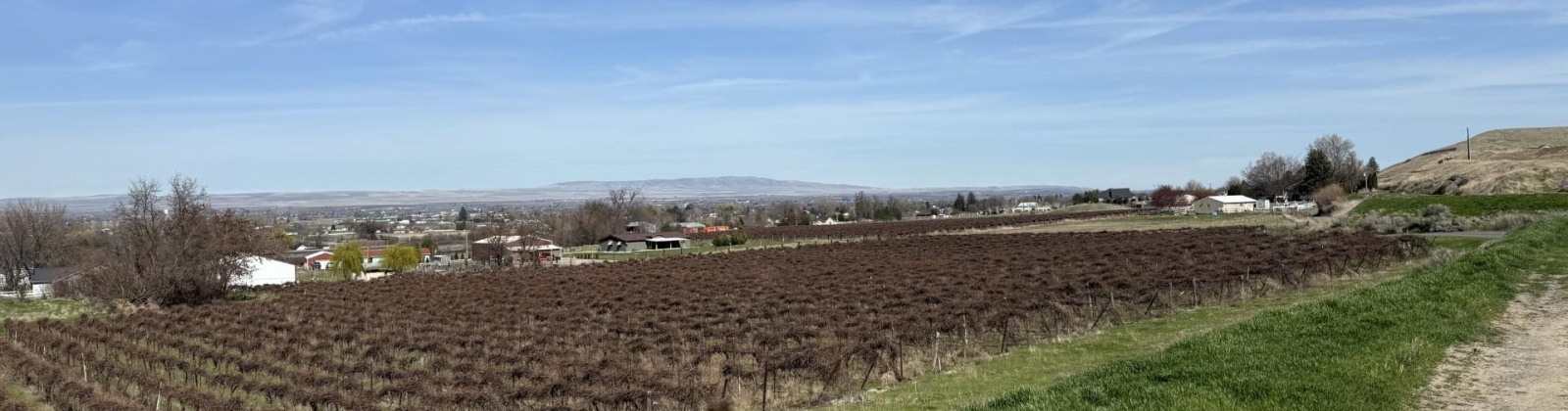 RICHARDS RD, Prosser, Washington 99350, ,Residential,For Sale,RICHARDS RD,282700