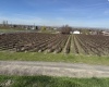 RICHARDS RD, Prosser, Washington 99350, ,Residential,For Sale,RICHARDS RD,282700