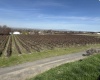 RICHARDS RD, Prosser, Washington 99350, ,Residential,For Sale,RICHARDS RD,282700
