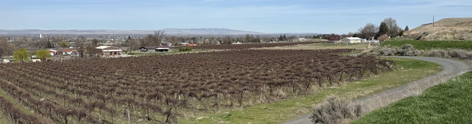 RICHARDS RD, Prosser, Washington 99350, ,Residential,For Sale,RICHARDS RD,282700