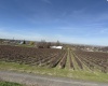 RICHARDS RD, Prosser, Washington 99350, ,Residential,For Sale,RICHARDS RD,282700