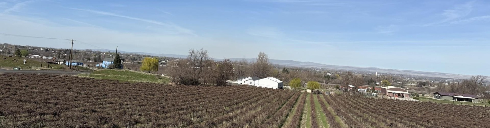 RICHARDS RD, Prosser, Washington 99350, ,Residential,For Sale,RICHARDS RD,282700