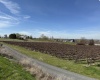 RICHARDS RD, Prosser, Washington 99350, ,Residential,For Sale,RICHARDS RD,282700