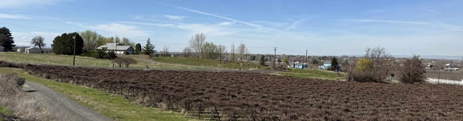RICHARDS RD, Prosser, Washington 99350, ,Residential,For Sale,RICHARDS RD,282700