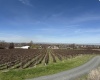 RICHARDS RD, Prosser, Washington 99350, ,Residential,For Sale,RICHARDS RD,282700