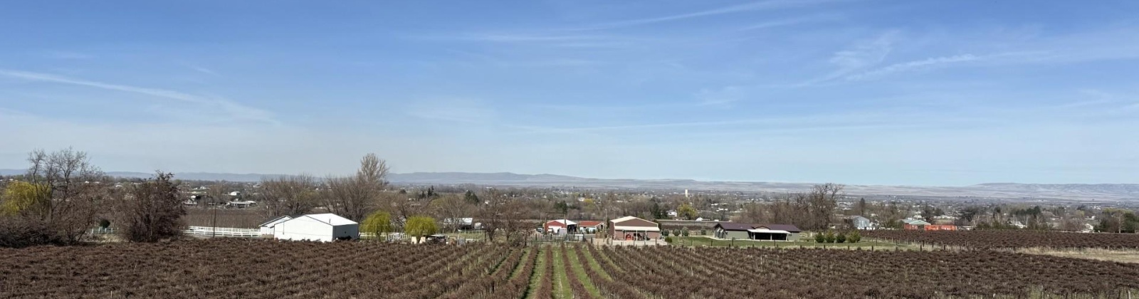 RICHARDS RD, Prosser, Washington 99350, ,Residential,For Sale,RICHARDS RD,282700