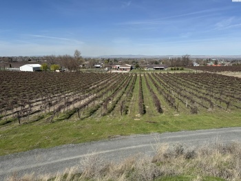 RICHARDS RD, Prosser, Washington 99350, ,Residential,For Sale,RICHARDS RD,282700