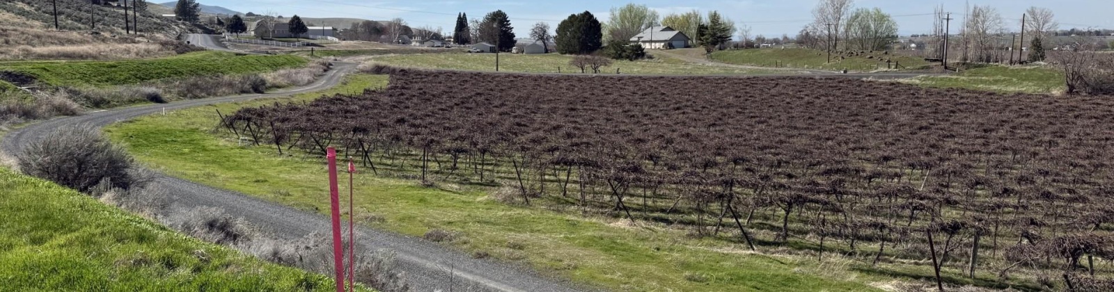 RICHARDS RD, Prosser, Washington 99350, ,Residential,For Sale,RICHARDS RD,282700