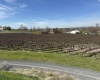 RICHARDS RD, Prosser, Washington 99350, ,Residential,For Sale,RICHARDS RD,282700
