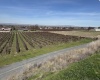 RICHARDS RD, Prosser, Washington 99350, ,Residential,For Sale,RICHARDS RD,282700